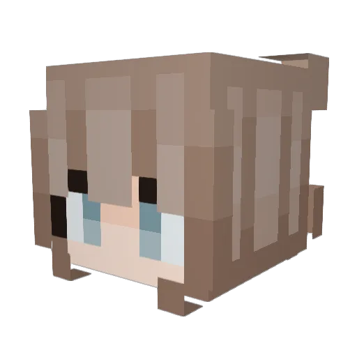 lilojari Minecraft avatar head, 3D render
