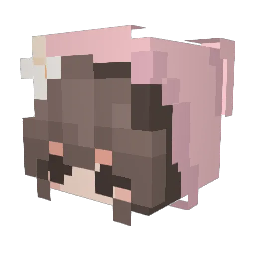 lilok20287 Minecraft avatar head, 3D render