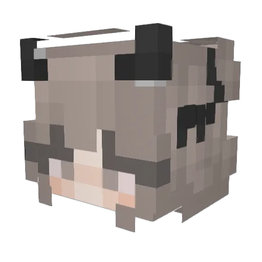 lilolli131 Minecraft avatar head, 3D render