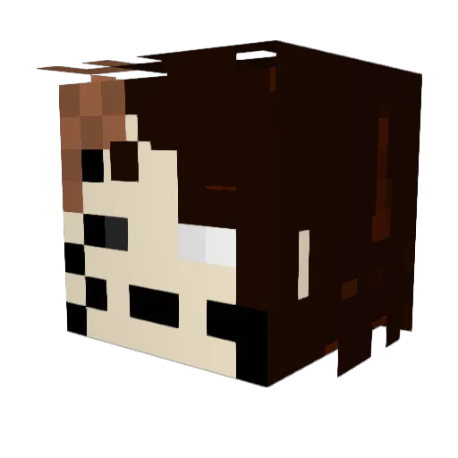 liloo5E Minecraft avatar head, 3D render