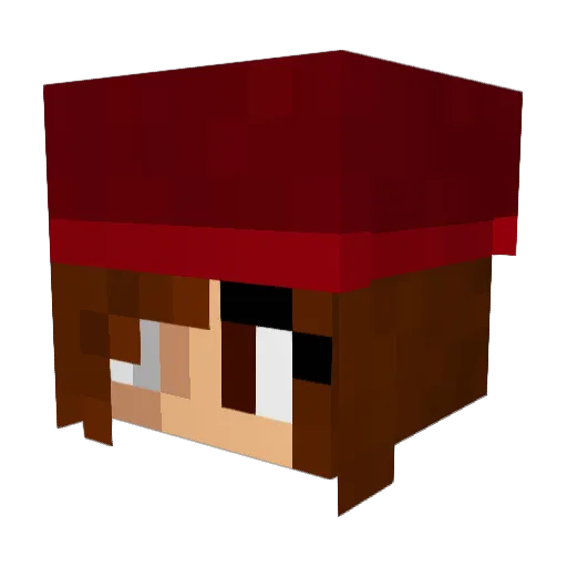 lilou771 Minecraft avatar head, 3D render