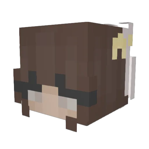 lilpayne600 Minecraft avatar head, 3D render