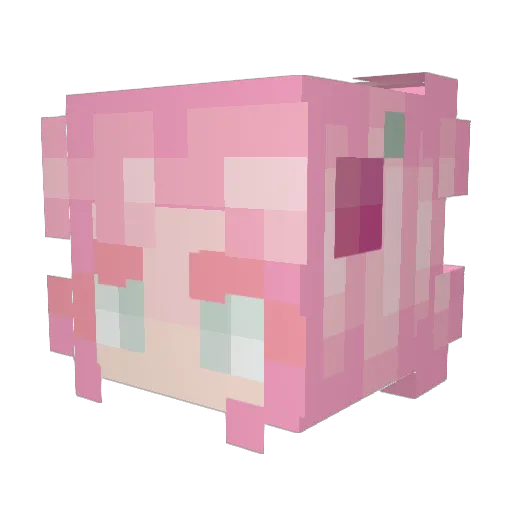 lilpicnic Minecraft avatar head, 3D render