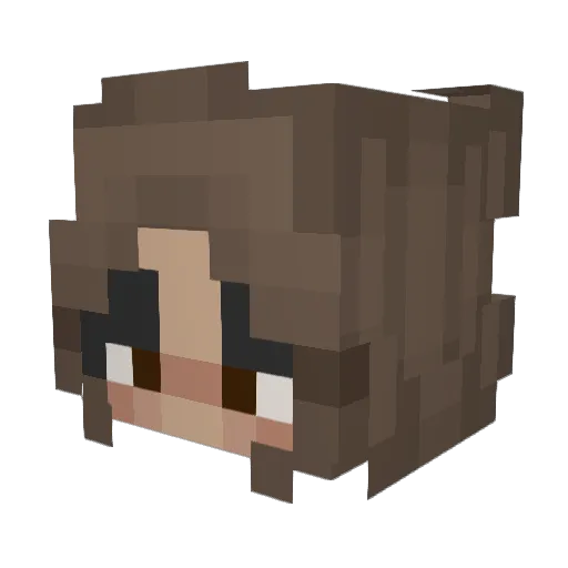 lilpingu29 Minecraft avatar head, 3D render