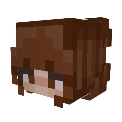 lilpunzie Minecraft avatar head, 3D render
