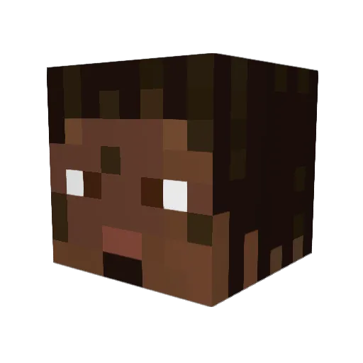 lilpwn4 Minecraft avatar head, 3D render