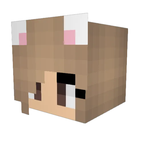 lilreese3000 Minecraft avatar head, 3D render