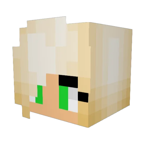 lilriotgrrl Minecraft avatar head, 3D render