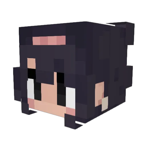 lilroach_ Minecraft avatar head, 3D render
