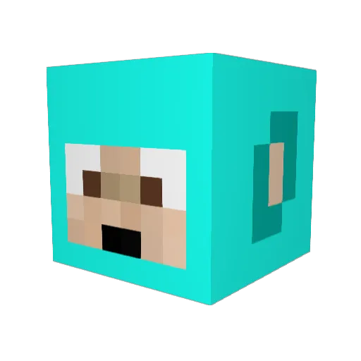 lilryguy1 Minecraft avatar head, 3D render