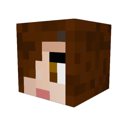 lils30 Minecraft avatar head, 3D render