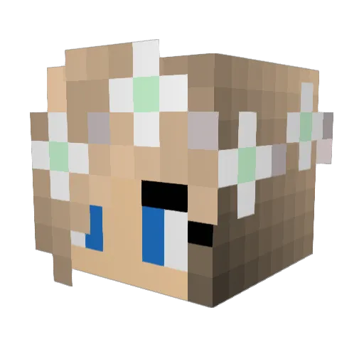 lilshortytk Minecraft avatar head, 3D render