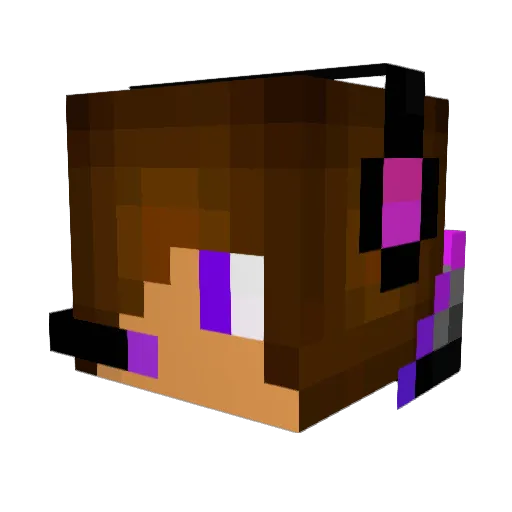 lilsm1606 Minecraft avatar head, 3D render