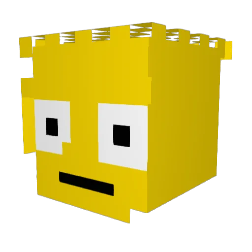lilsquishnaan Minecraft avatar head, 3D render