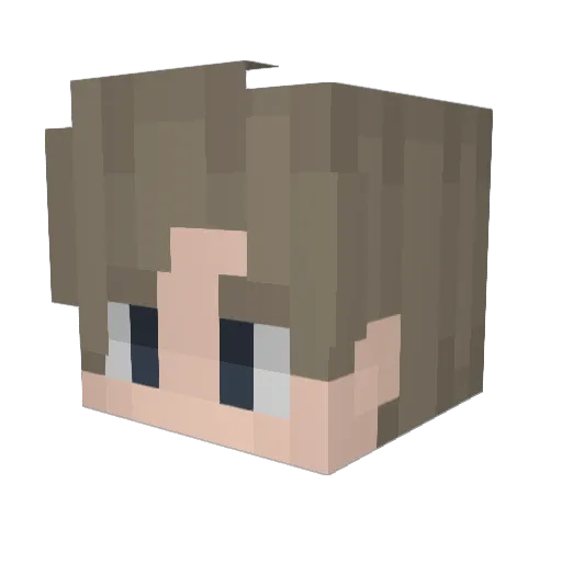 lilsseba Minecraft avatar head, 3D render