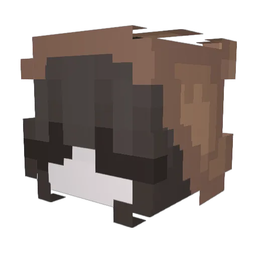 lilvally13 Minecraft avatar head, 3D render