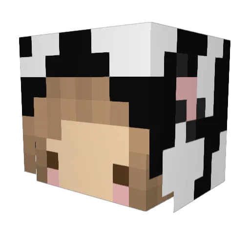 lilxlucyx Minecraft avatar head, 3D render