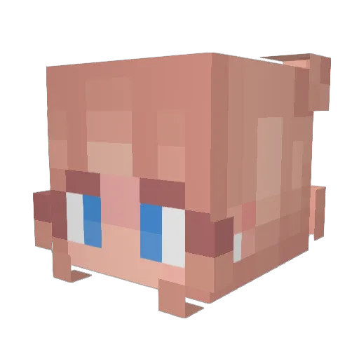 lily697 Minecraft avatar head, 3D render