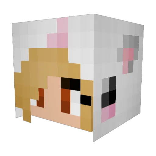 lilycat1215 Minecraft avatar head, 3D render