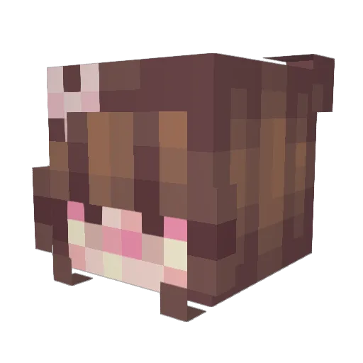 lilyemerson Minecraft avatar head, 3D render