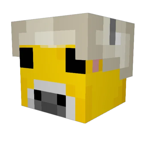 lilyl3 Minecraft avatar head, 3D render