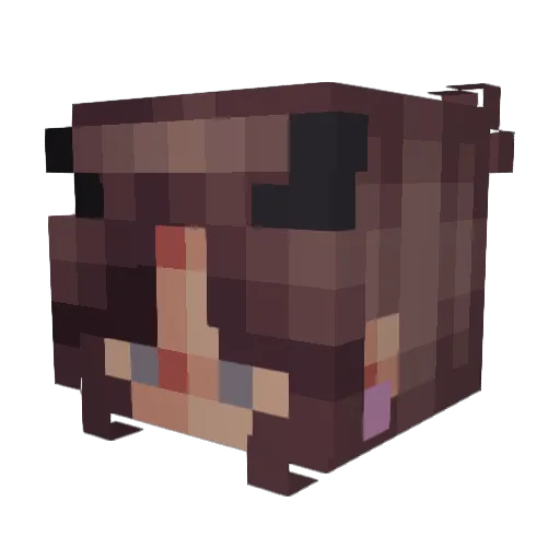 lilylaly128 Minecraft avatar head, 3D render