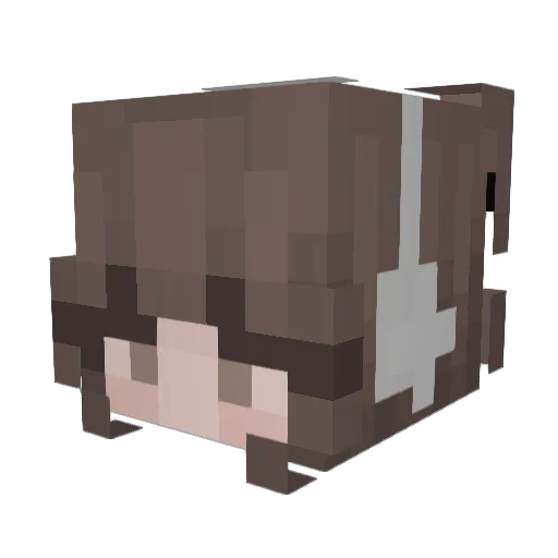 lilym4e Minecraft avatar head, 3D render