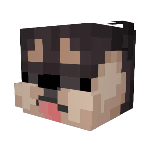 lilyoobiee Minecraft avatar head, 3D render