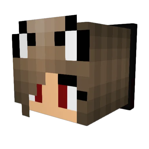 lilyr2001 Minecraft avatar head, 3D render