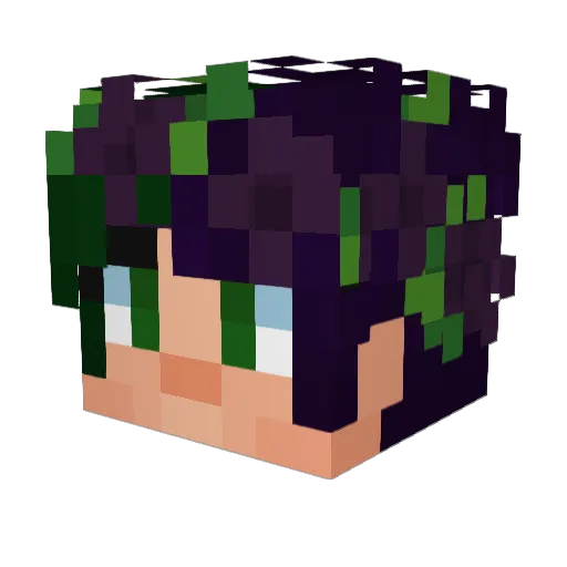 lilytiny613 Minecraft avatar head, 3D render