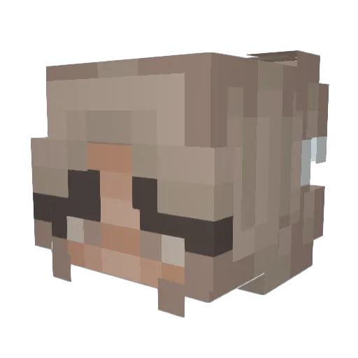 lilyvjames Minecraft avatar head, 3D render