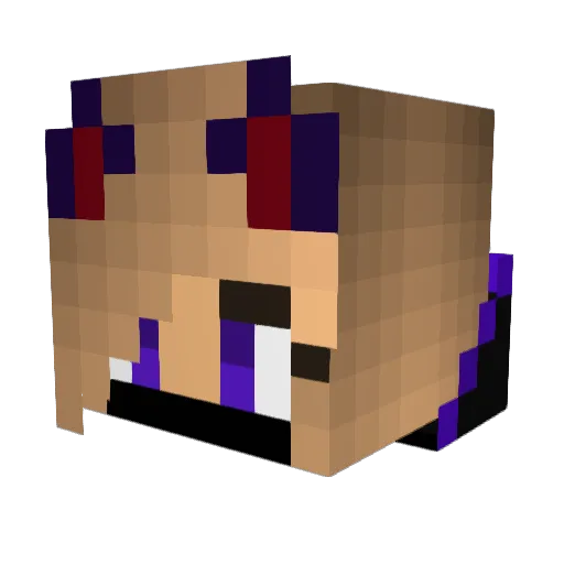 lilywolf2005 Minecraft avatar head, 3D render