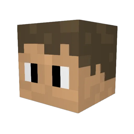lim41 Minecraft avatar head, 3D render