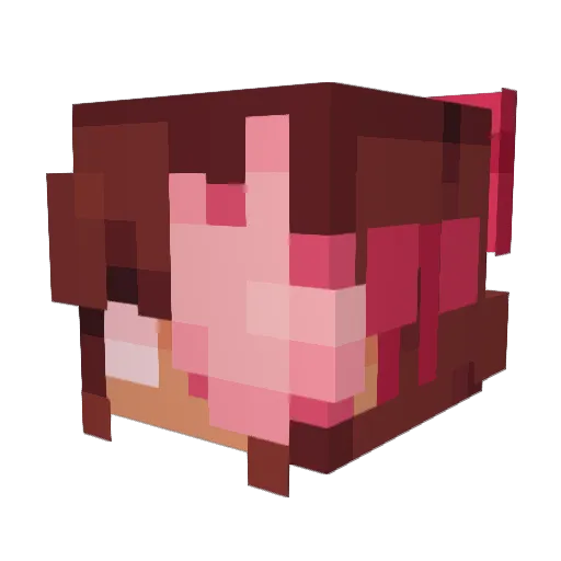 liminalbug Minecraft avatar head, 3D render