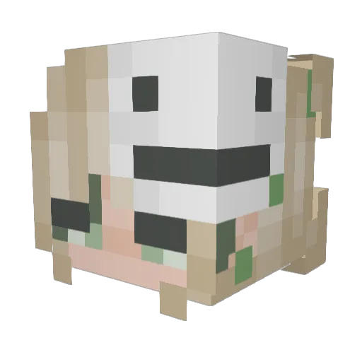 limitedbella Minecraft avatar head, 3D render