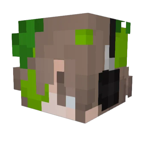 limssy Minecraft avatar head, 3D render