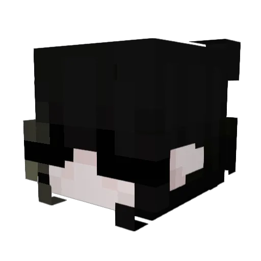 lina_ixo Minecraft avatar head, 3D render