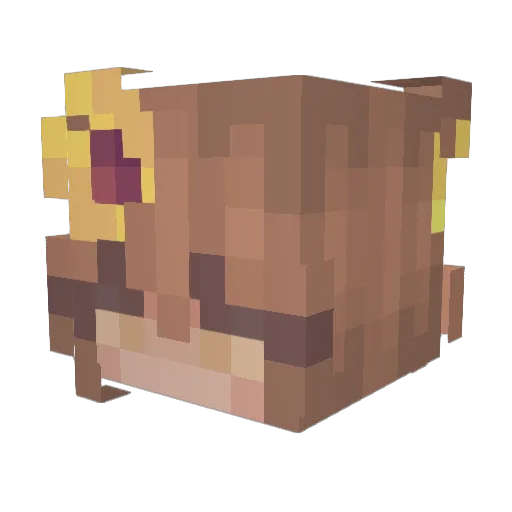 linalou8 Minecraft avatar head, 3D render