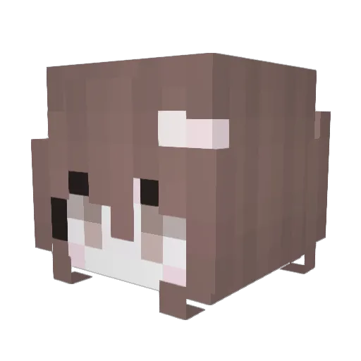 linasnoozd Minecraft avatar head, 3D render