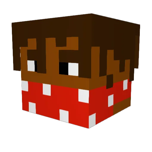 lincoln1127 Minecraft avatar head, 3D render