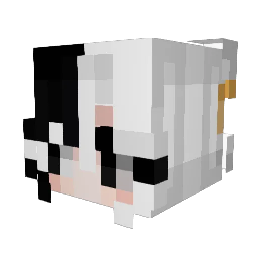 lincolna15 Minecraft avatar head, 3D render