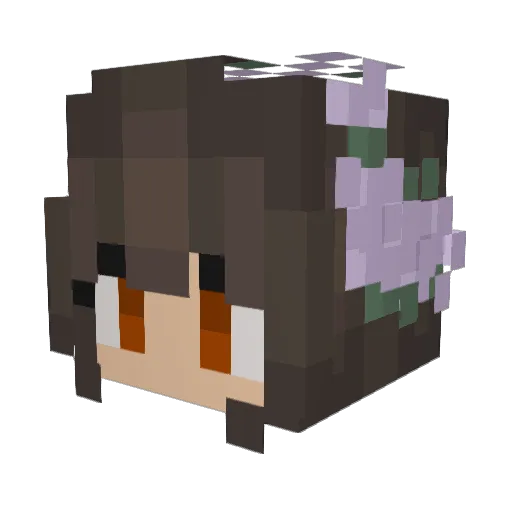linds23 Minecraft avatar head, 3D render