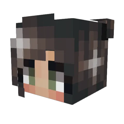 lindsrad Minecraft avatar head, 3D render