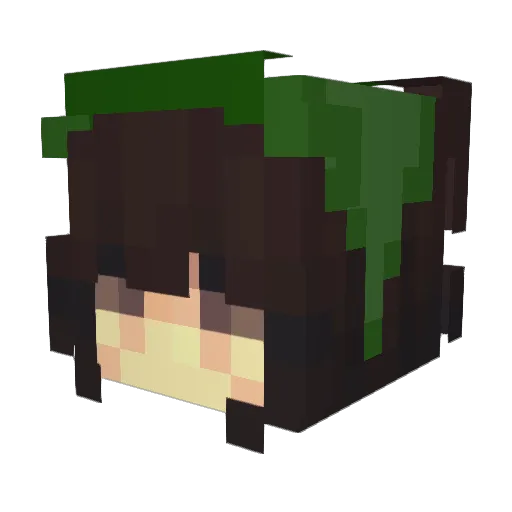 line_10 Minecraft avatar head, 3D render