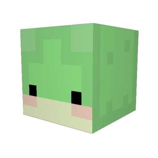 liney101 Minecraft avatar head, 3D render