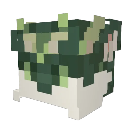 linfeng____ Minecraft avatar head, 3D render