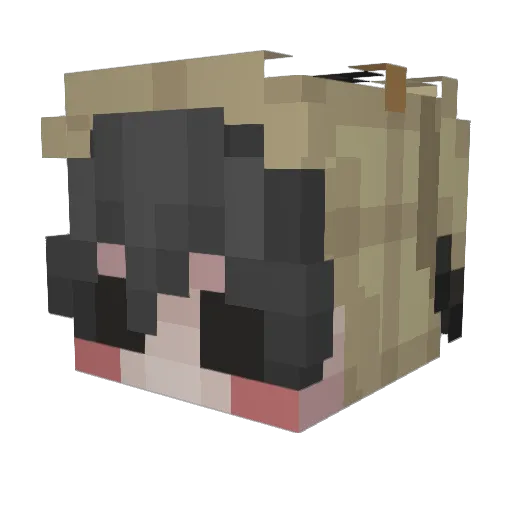 lingershr00m Minecraft avatar head, 3D render