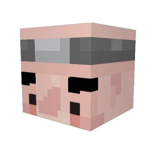 lingwongchong Minecraft avatar head, 3D render