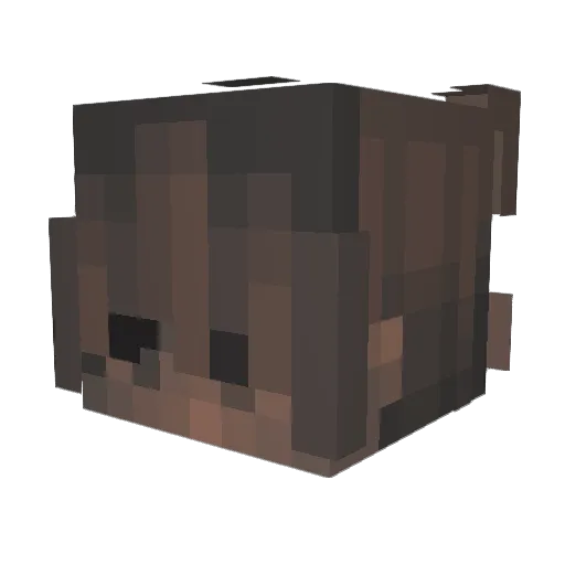linhjams Minecraft avatar head, 3D render