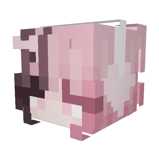 linn516 Minecraft avatar head, 3D render